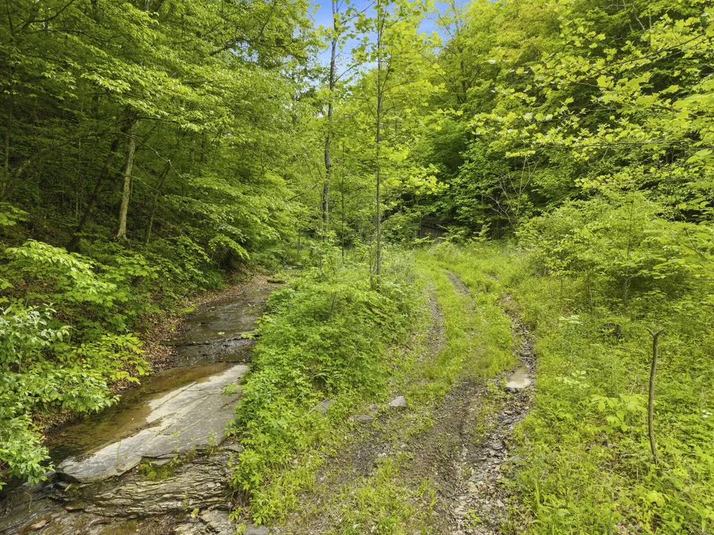 0 Jetts Creek Road Jackson KY 41339