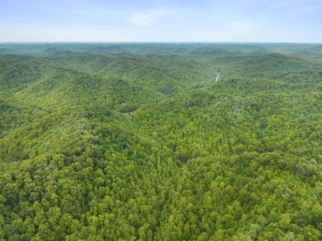0 Jetts Creek Road Jackson KY 41339