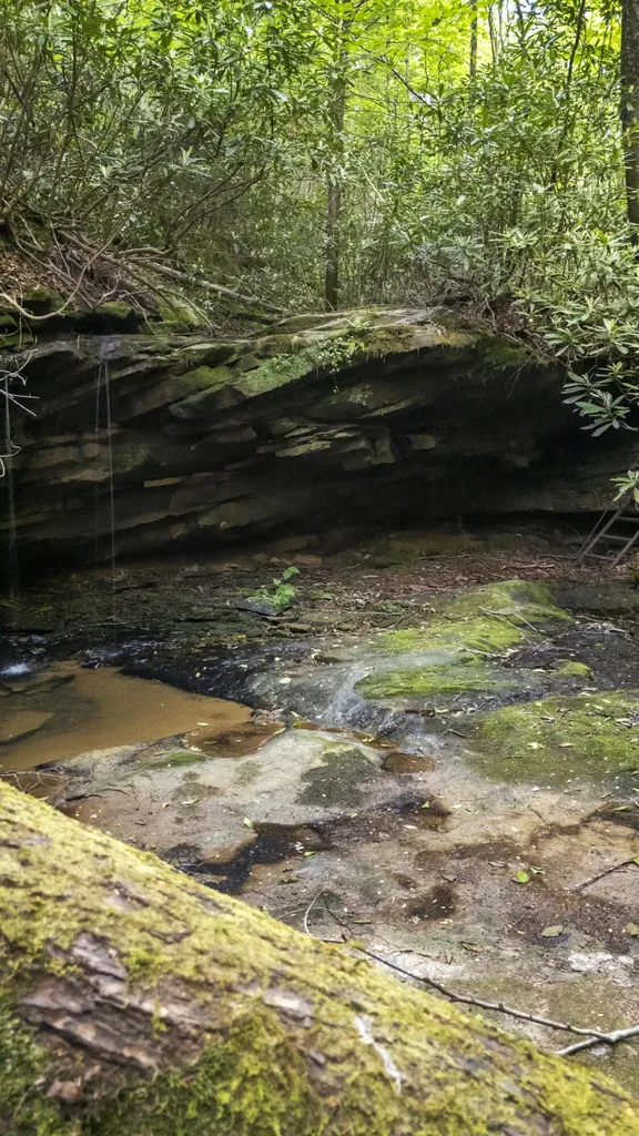 Lot 2 Mullins Point Wicked Oak Road Campton KY 41301