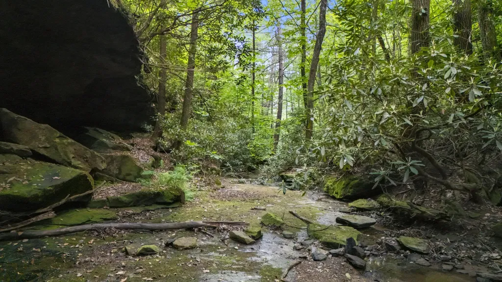 Lot 2 Mullins Point Wicked Oak Road Campton KY 41301