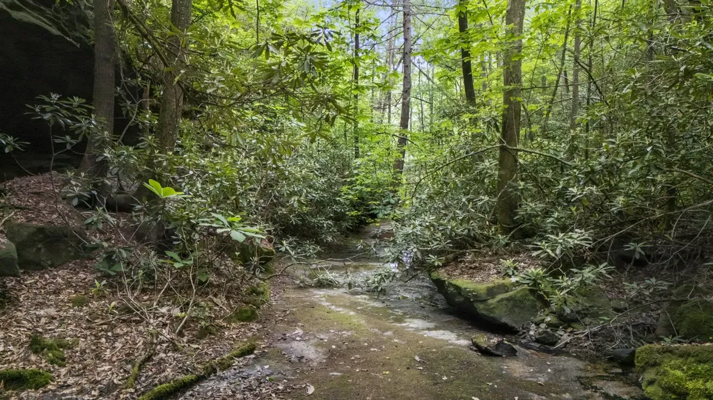 Lot 2 Mullins Point Wicked Oak Road Campton KY 41301