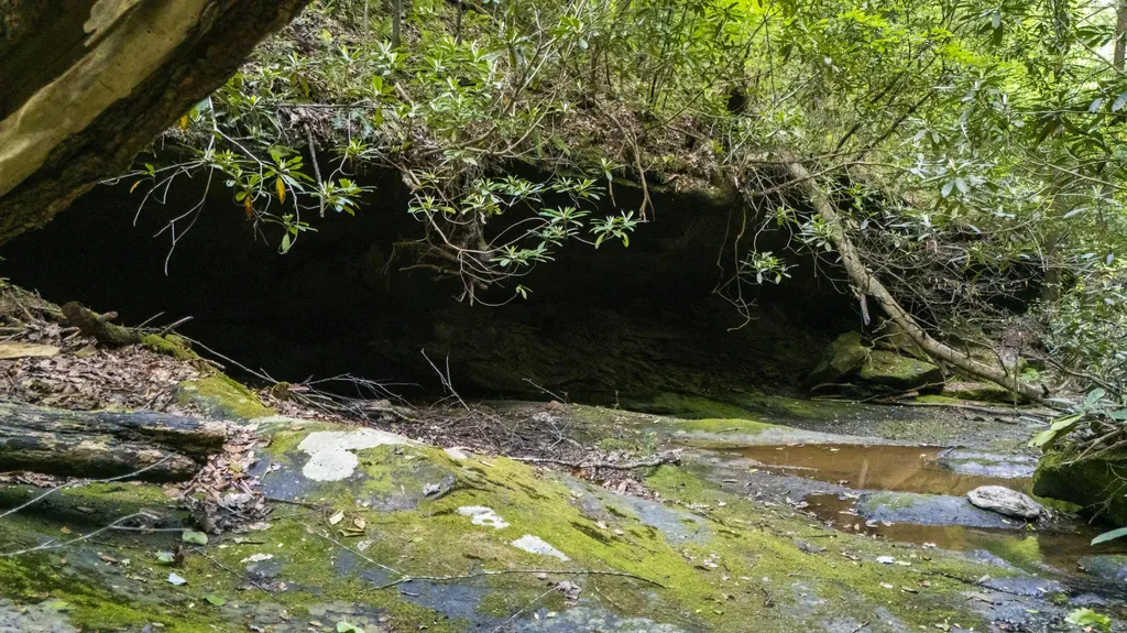 Lot 2 Mullins Point Wicked Oak Road Campton KY 41301