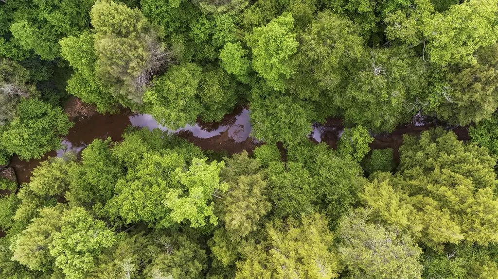 Lot 2 Mullins Point Wicked Oak Road Campton KY 41301