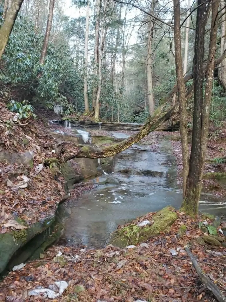 Lot 2 Mullins Point Wicked Oak Road Campton KY 41301