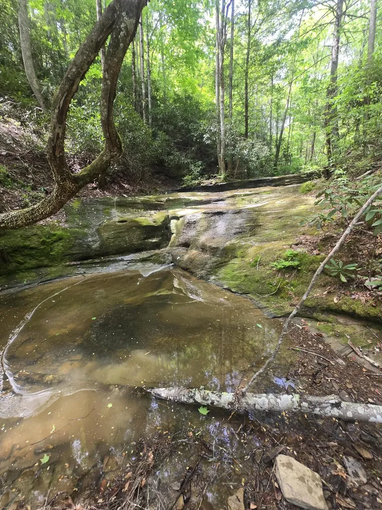 Lot 2 Mullins Point Wicked Oak Road Campton KY 41301