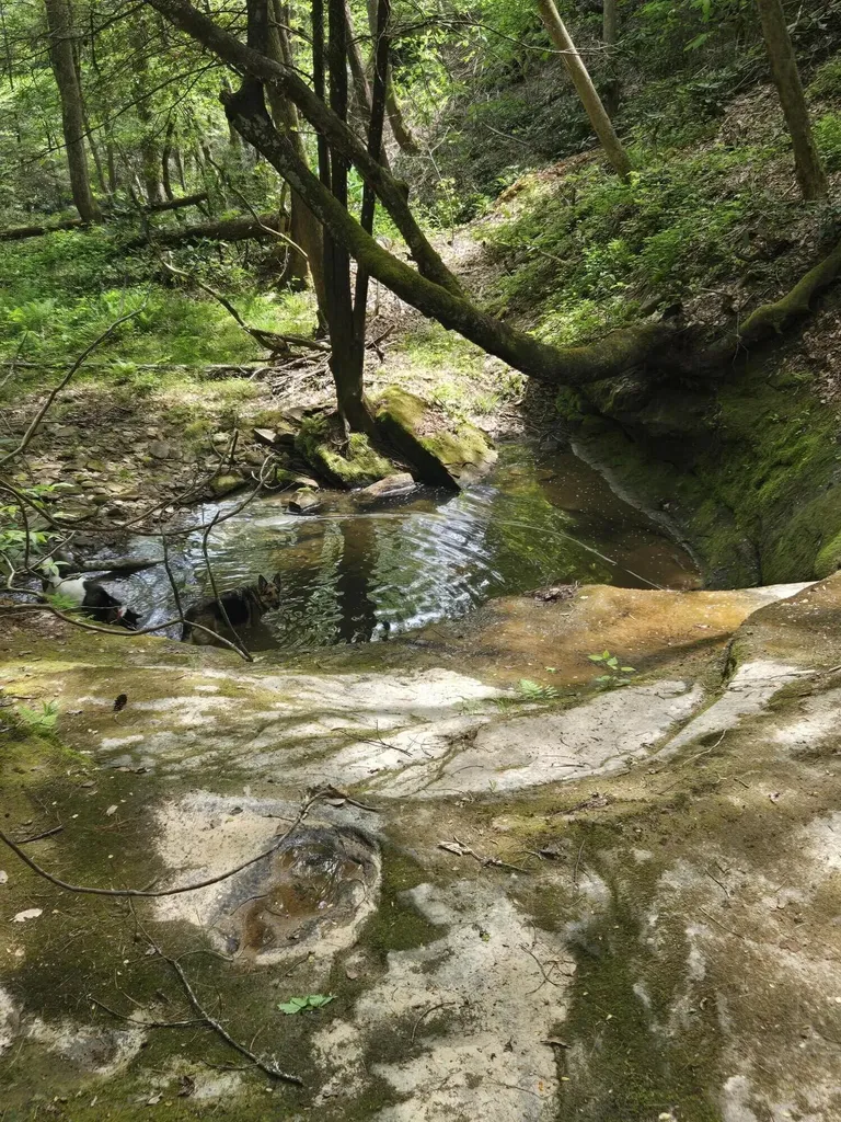 Lot 2 Mullins Point Wicked Oak Road Campton KY 41301