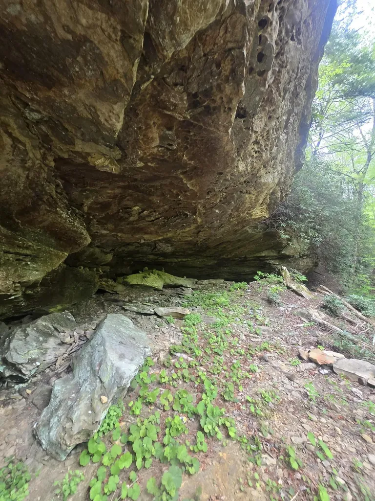 Lot 2 Mullins Point Wicked Oak Road Campton KY 41301