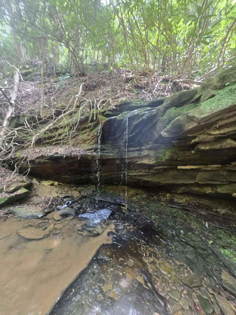 Lot 2 Mullins Point Wicked Oak Road Campton KY 41301