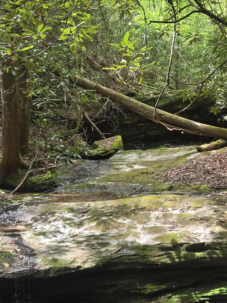 Lot 2 Mullins Point Wicked Oak Road Campton KY 41301