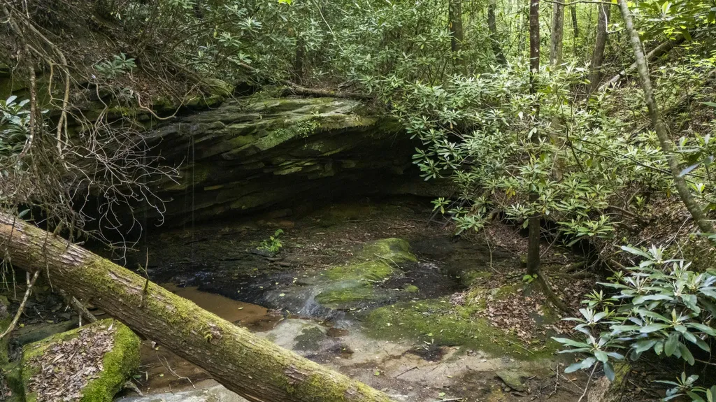 Lot 2 Mullins Point Wicked Oak Road Campton KY 41301