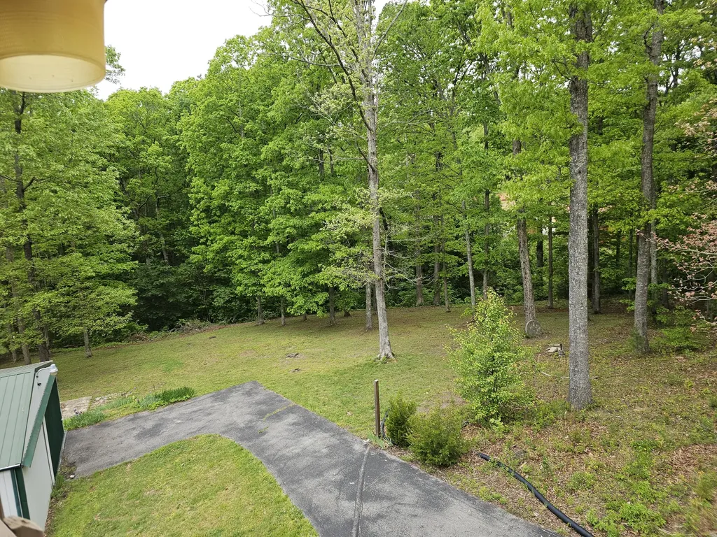 319 Camp Judy Lane Wellington KY 40387