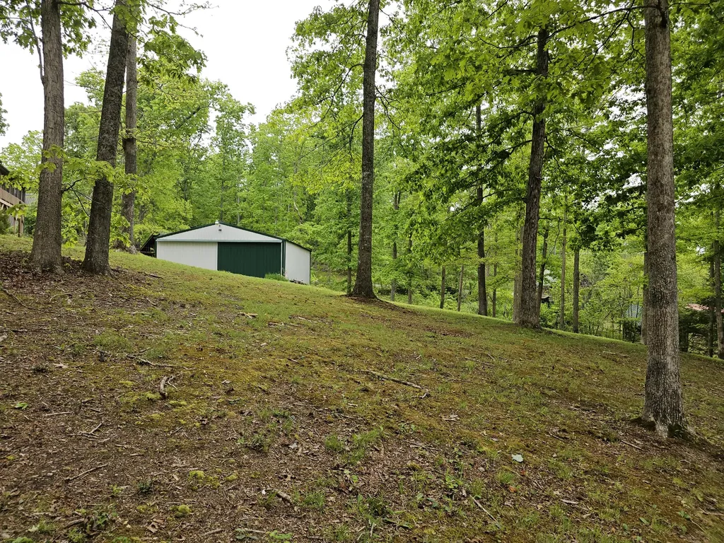 319 Camp Judy Lane Wellington KY 40387