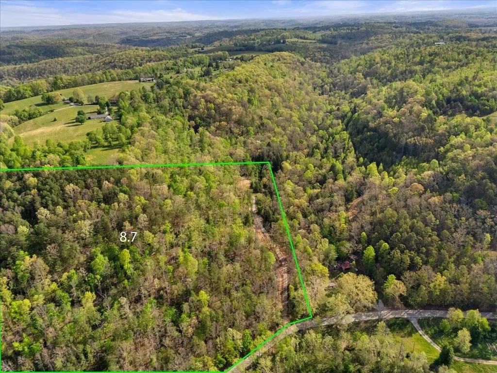 9999 490 Highway East Bernstadt KY 40729