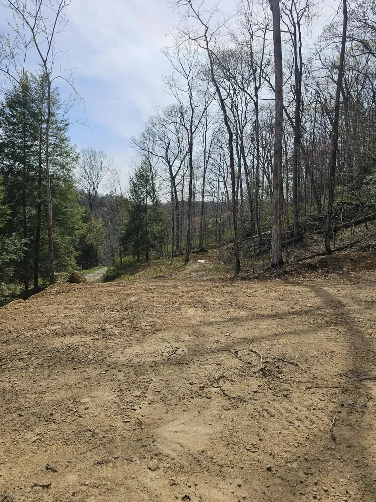 9999 490 Highway East Bernstadt KY 40729