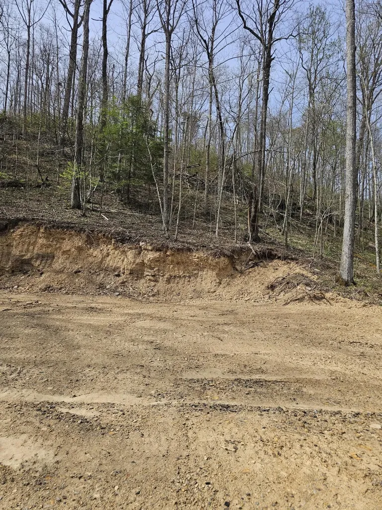 9999 490 Highway East Bernstadt KY 40729