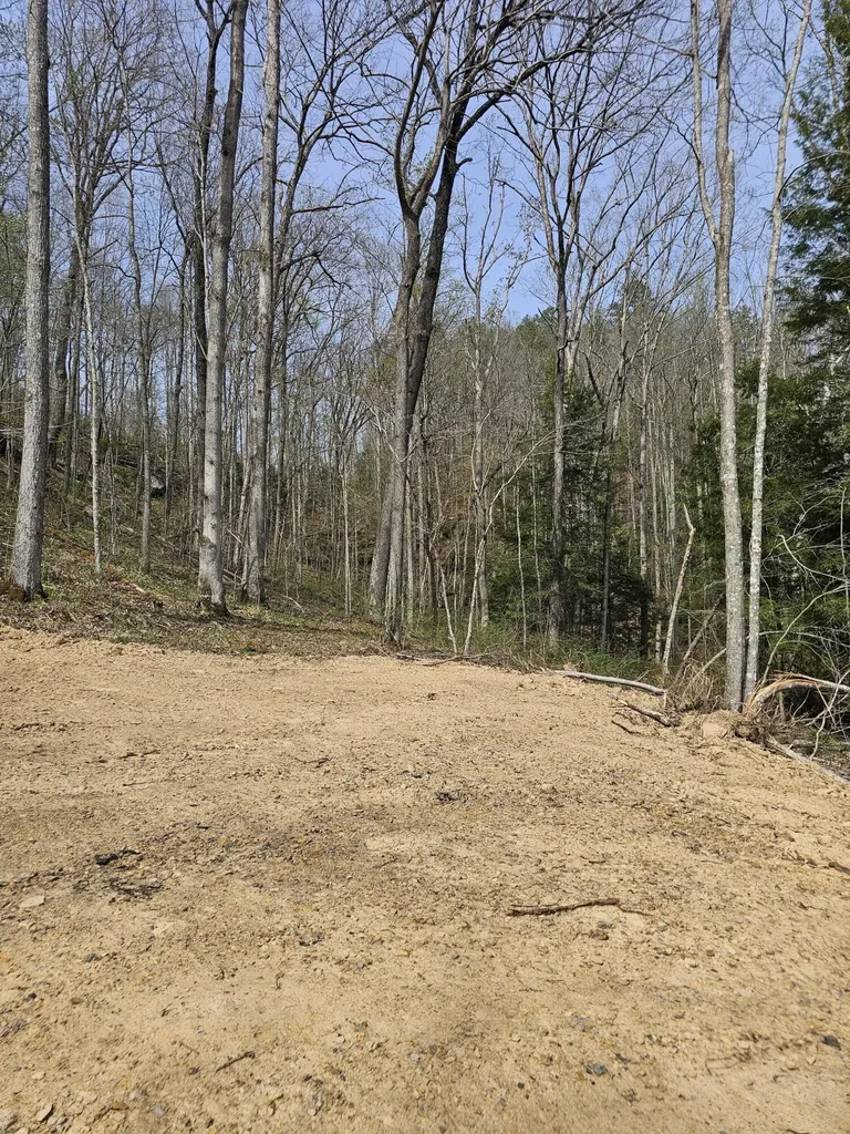 9999 490 Highway East Bernstadt KY 40729