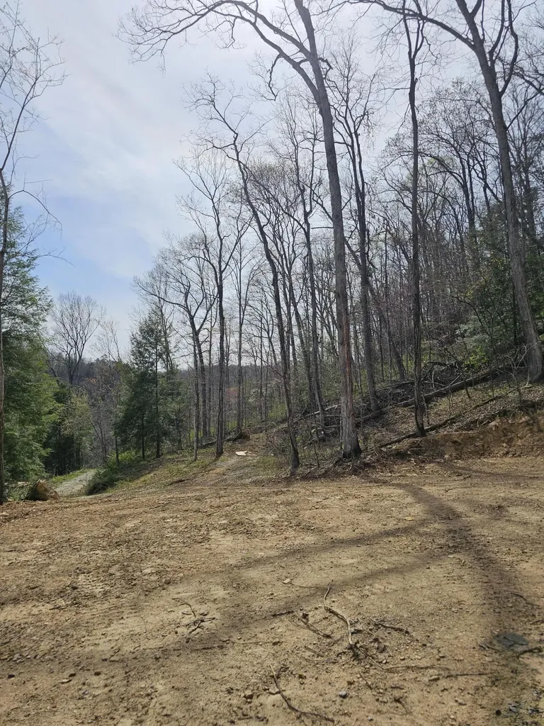 9999 490 Highway East Bernstadt KY 40729