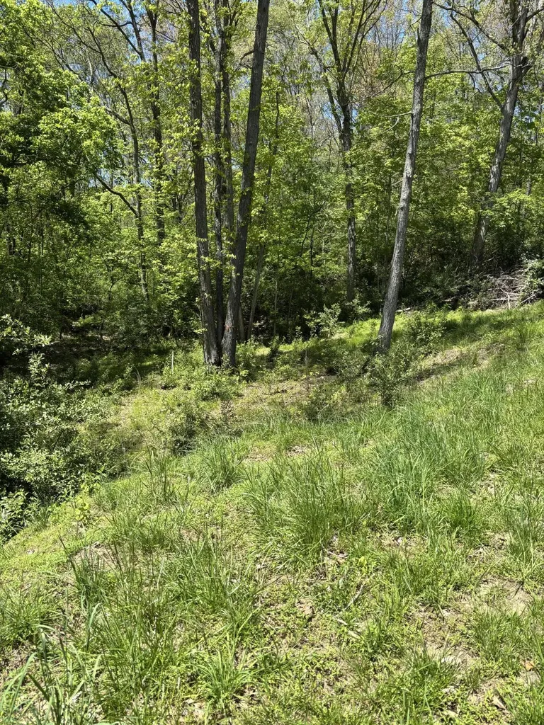 844 Elk Lake Resort Road Owenton KY 40359