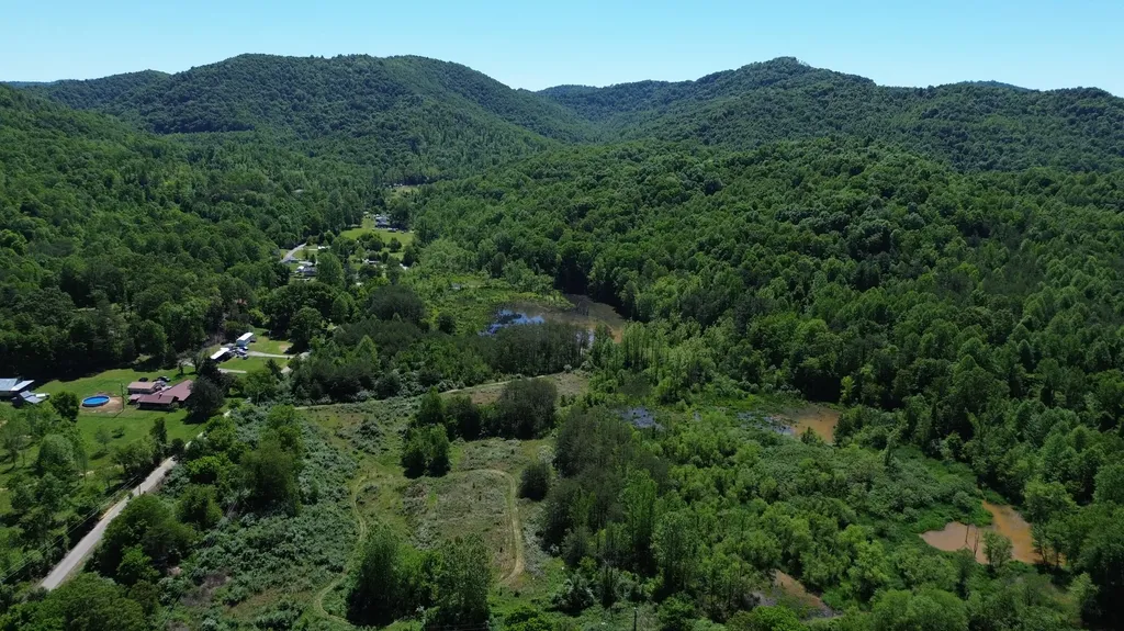 9999 Lick Branch Road Flat Lick KY 40935
