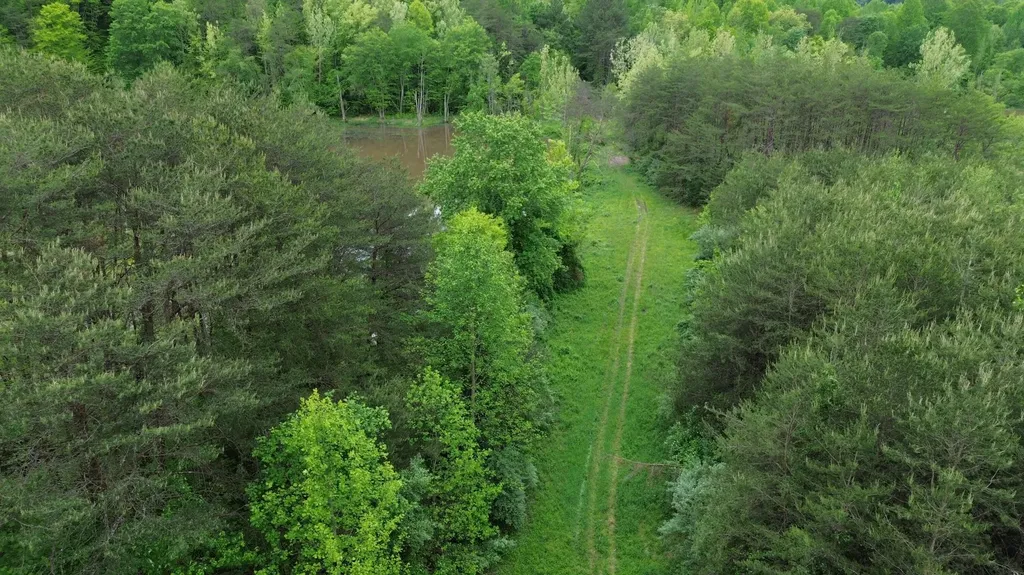 9999 Lick Branch Road Flat Lick KY 40935