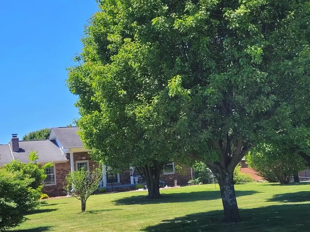 451 Parkside Road London KY 40744