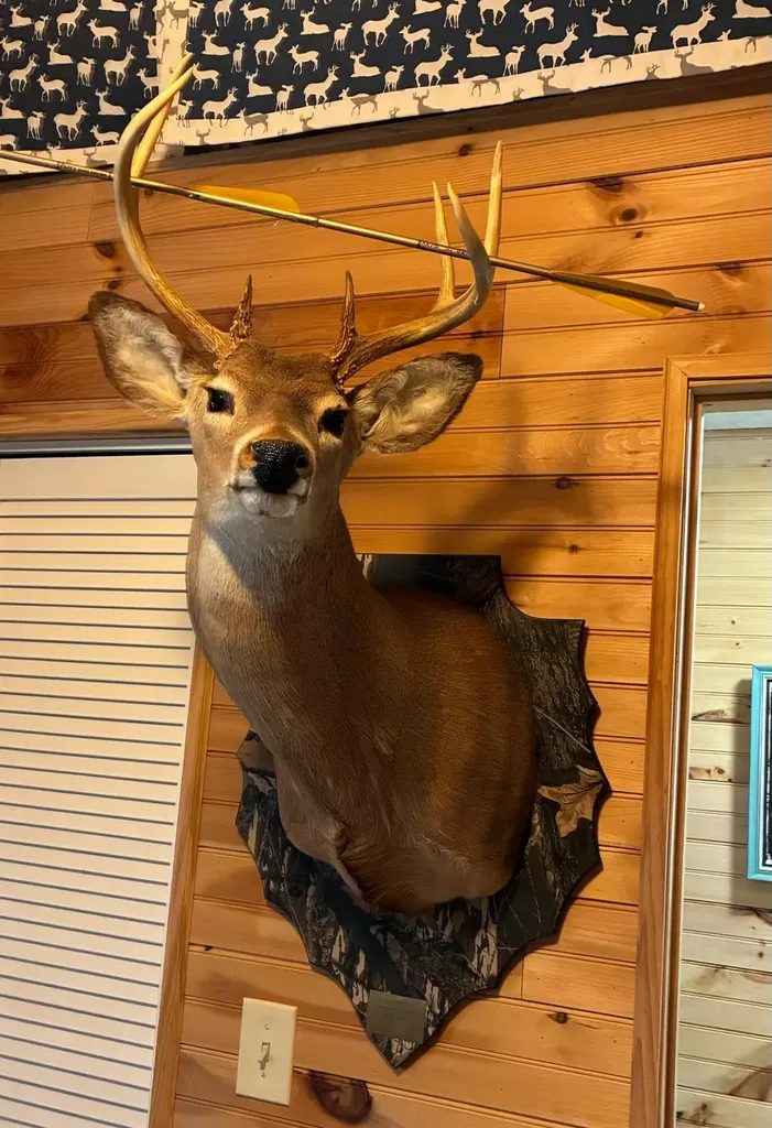 901 Crooked Creek Road Carlisle KY 40311