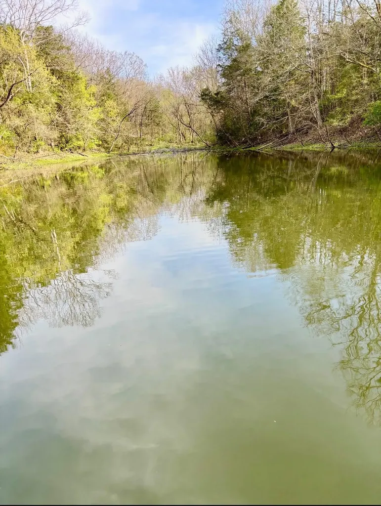 901 Crooked Creek Road Carlisle KY 40311
