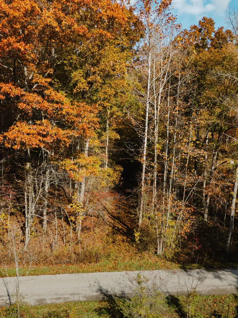 25 Tar Fork Road Vanceburg KY 41179