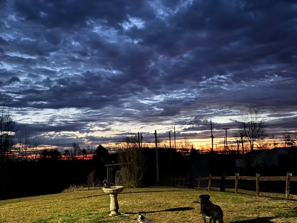 4590 County Road 1002 West Liberty KY 41472