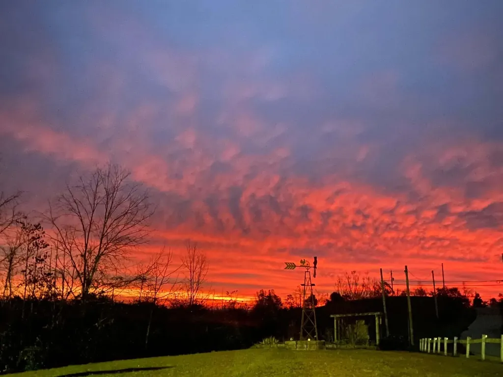 4590 County Road 1002 West Liberty KY 41472