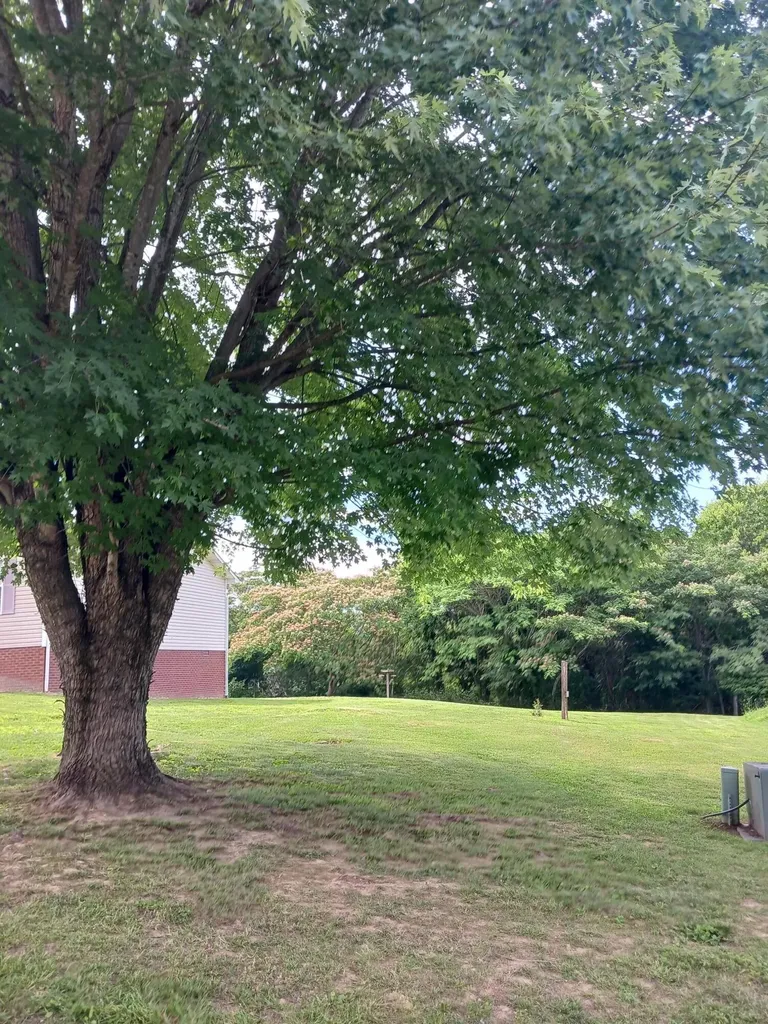 17 Cecelia Lane Corbin KY 40701
