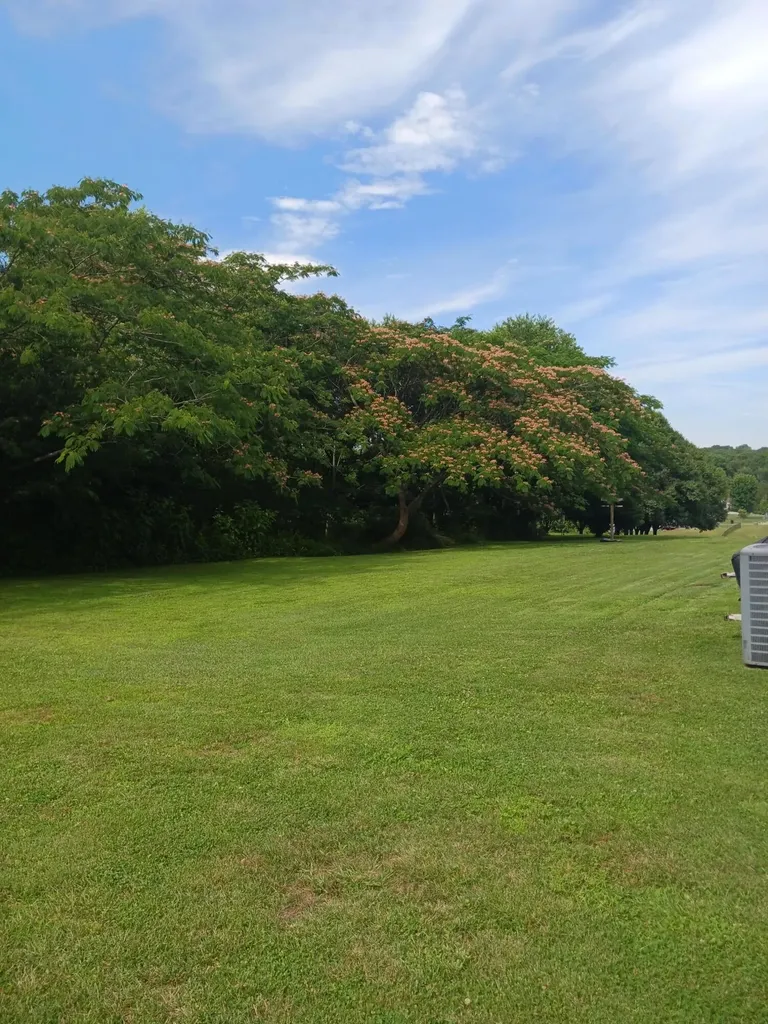 17 Cecelia Lane Corbin KY 40701