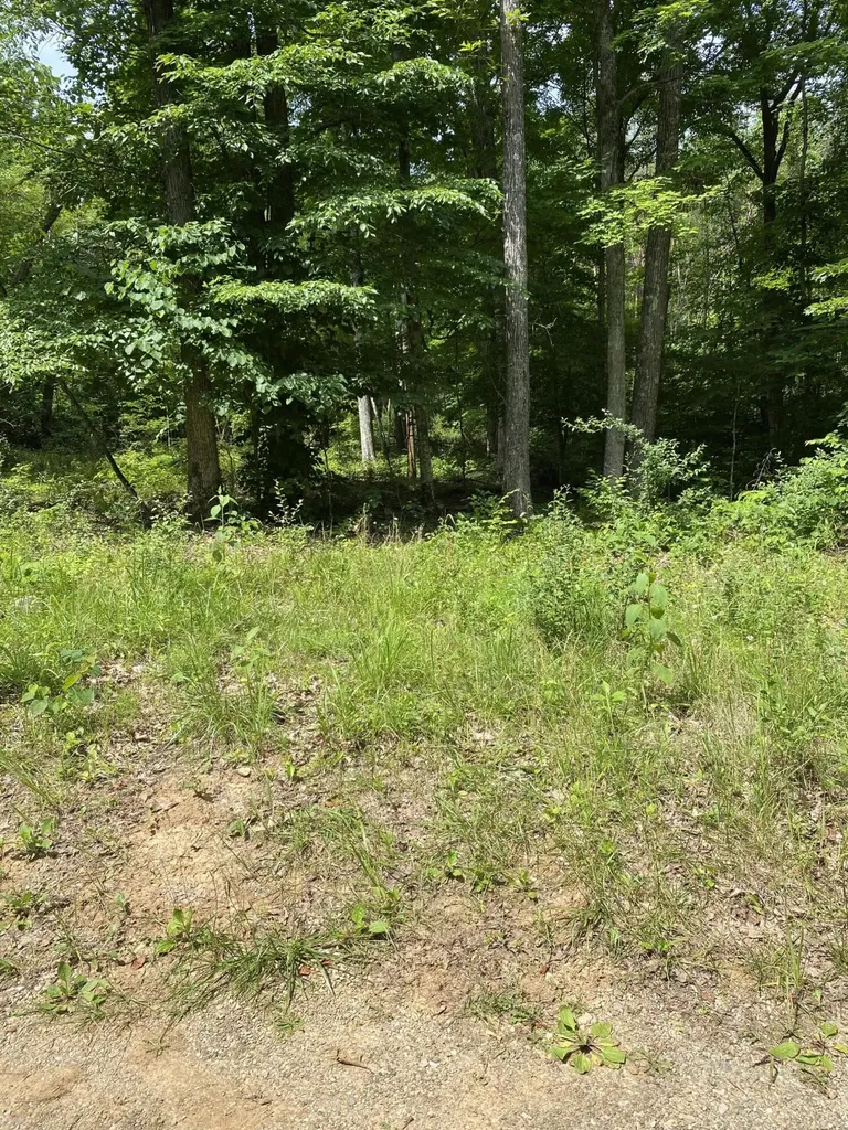 0 S Maugham Drive Burnside KY 42519