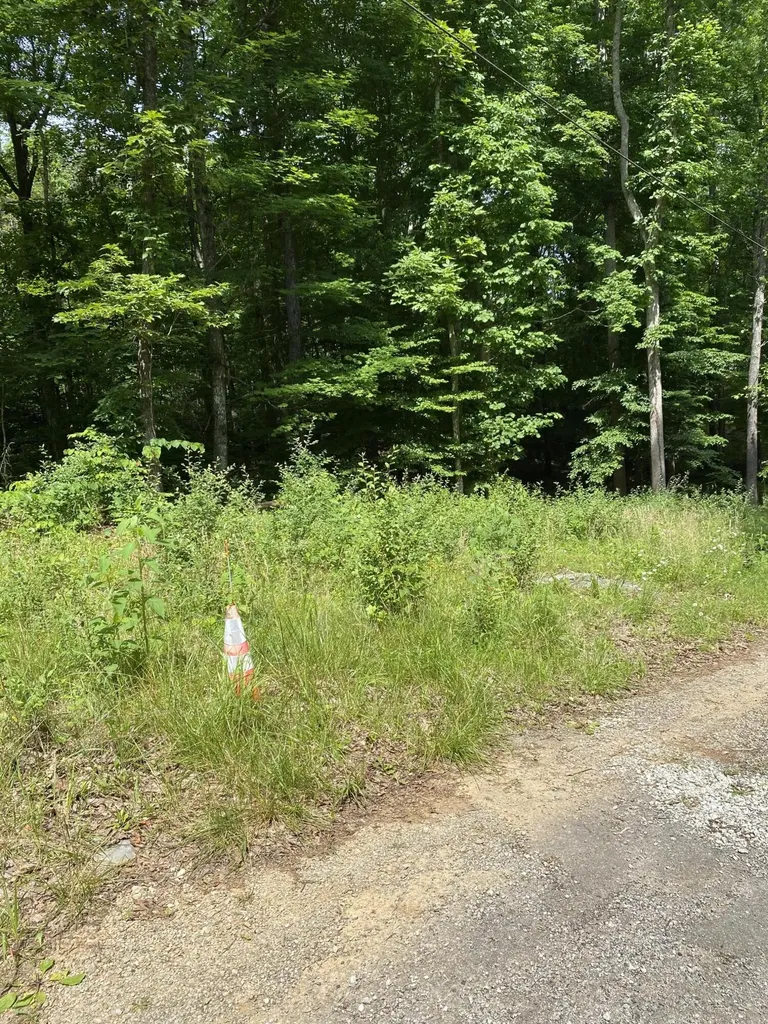0 S Maugham Drive Burnside KY 42519