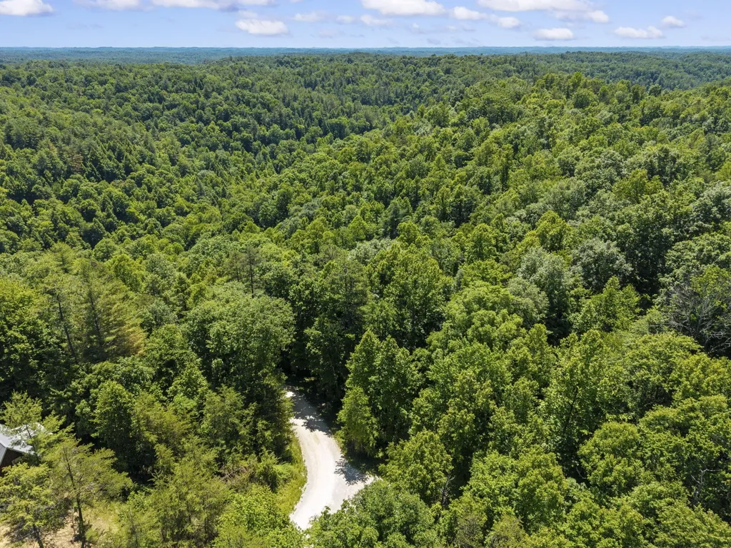 611 Paradise Drive Rogers KY 41365