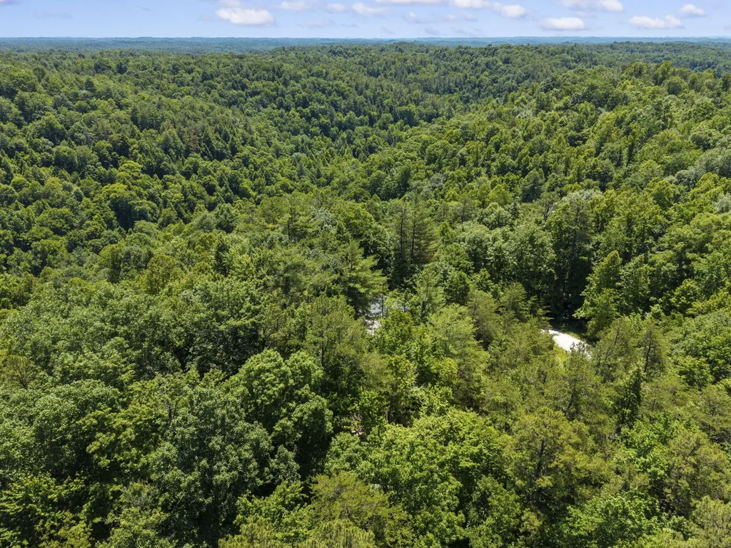 611 Paradise Drive Rogers KY 41365