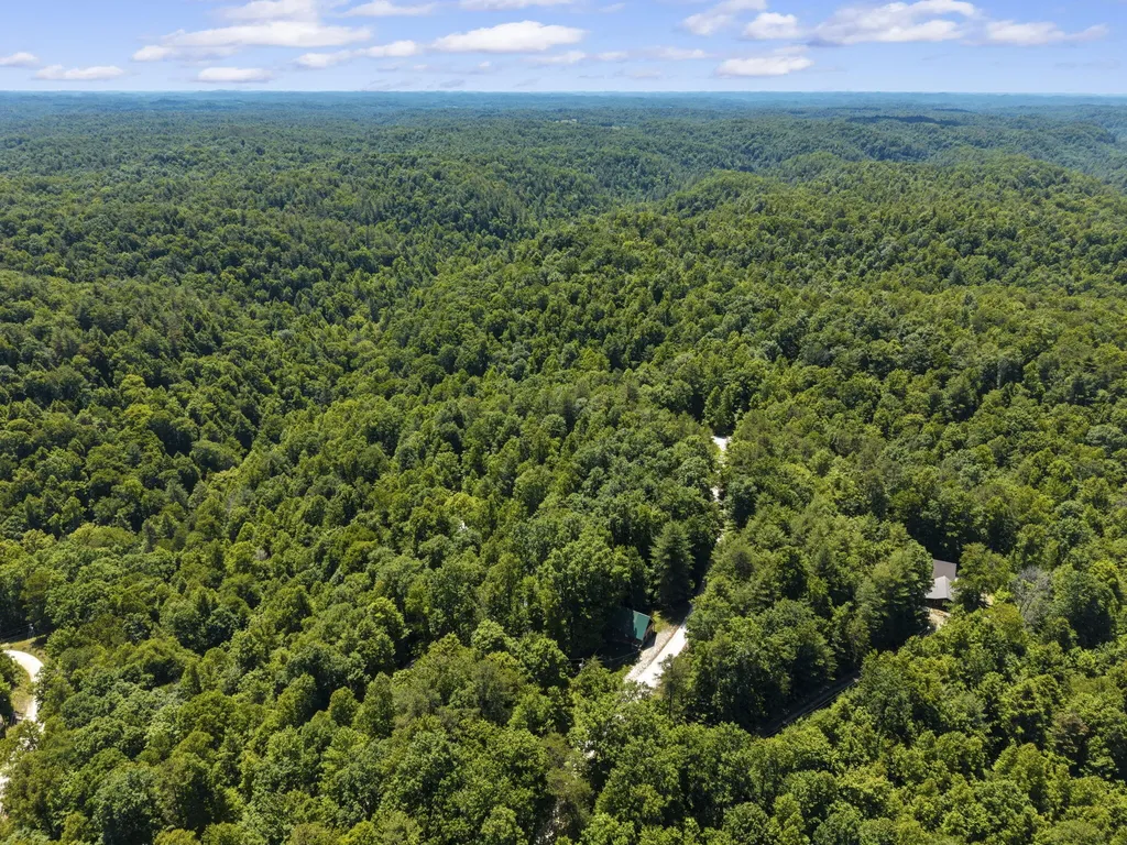 611 Paradise Drive Rogers KY 41365
