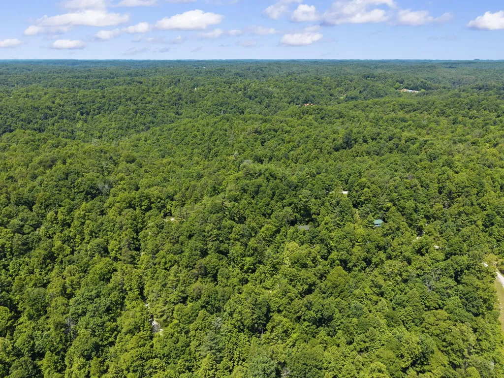 611 Paradise Drive Rogers KY 41365