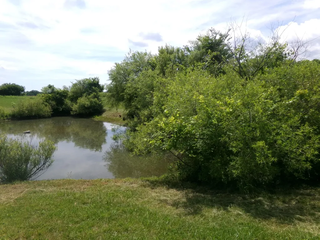 3884 Stepstone Road Owingsville KY 40360
