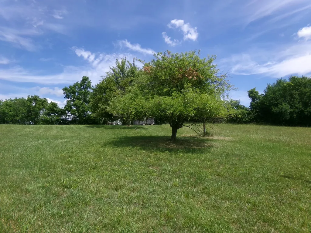 3884 Stepstone Road Owingsville KY 40360
