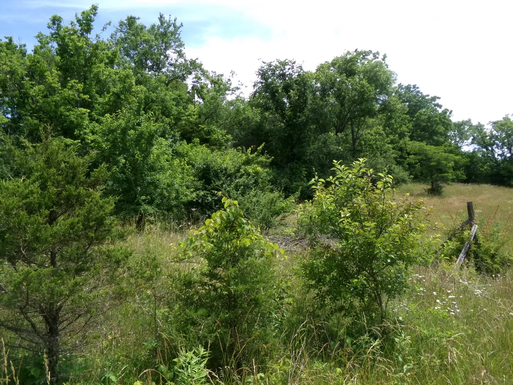 3884 Stepstone Road Owingsville KY 40360