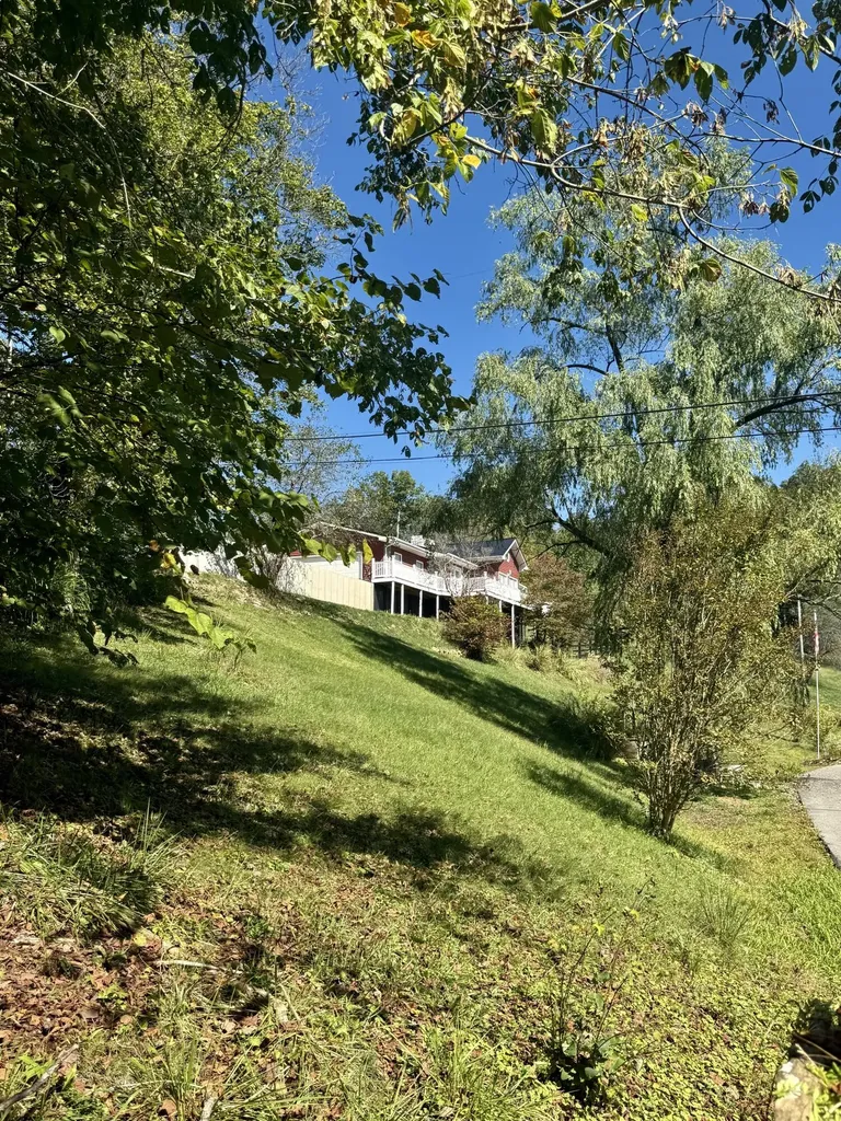 262 Mt. Pleasant Road Louisa KY 41230