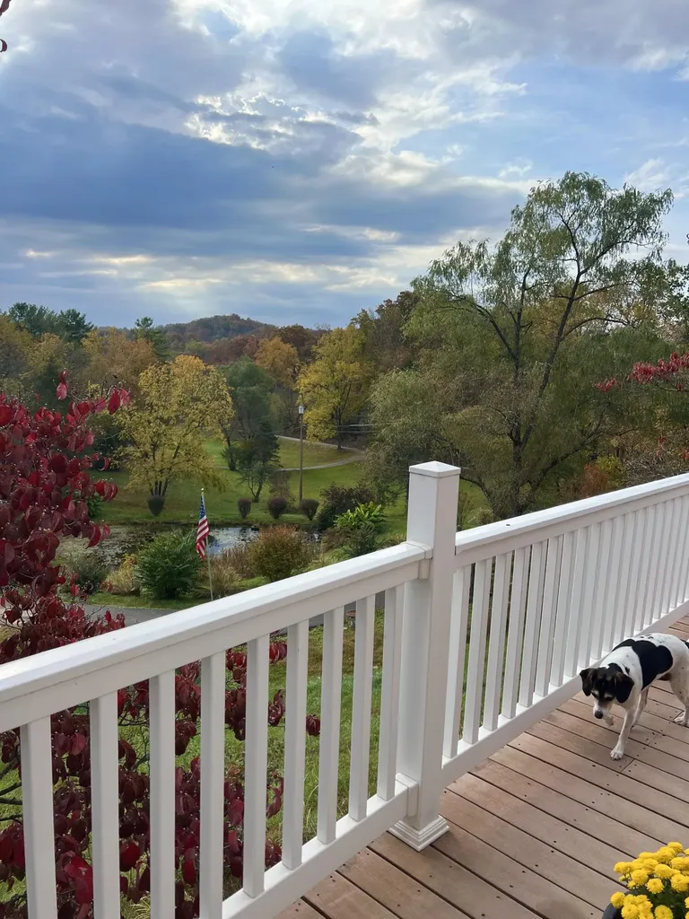 262 Mt. Pleasant Road Louisa KY 41230