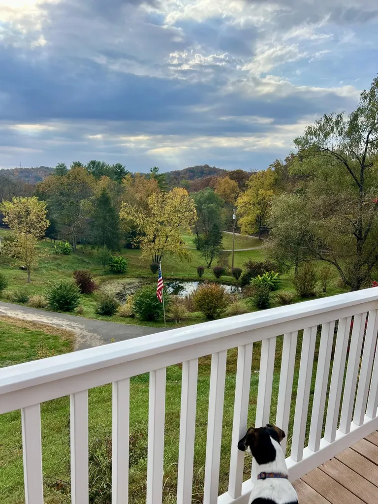 262 Mt. Pleasant Road Louisa KY 41230