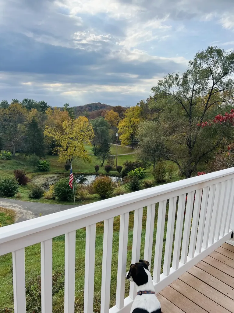 262 Mt. Pleasant Road Louisa KY 41230