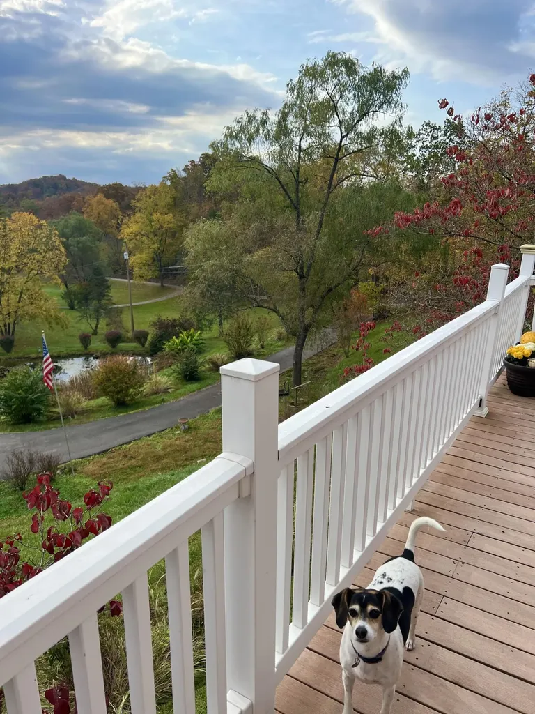 262 Mt. Pleasant Road Louisa KY 41230