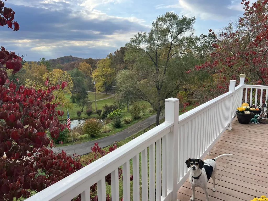 262 Mt. Pleasant Road Louisa KY 41230