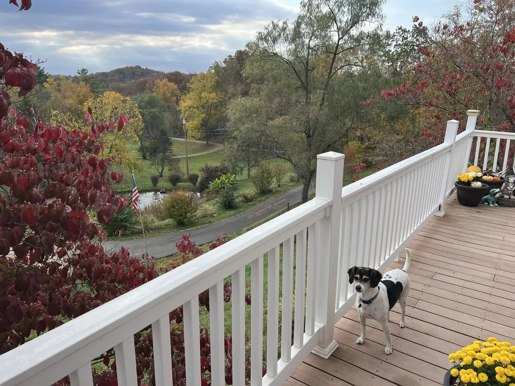 262 Mt. Pleasant Road Louisa KY 41230
