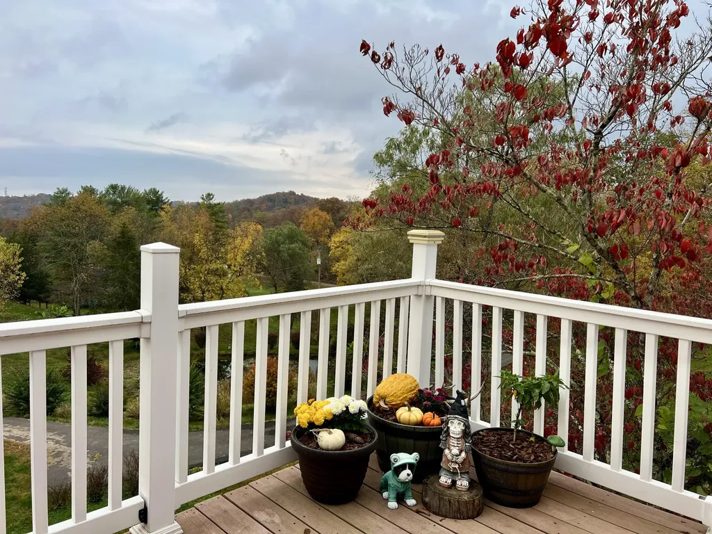 262 Mt. Pleasant Road Louisa KY 41230