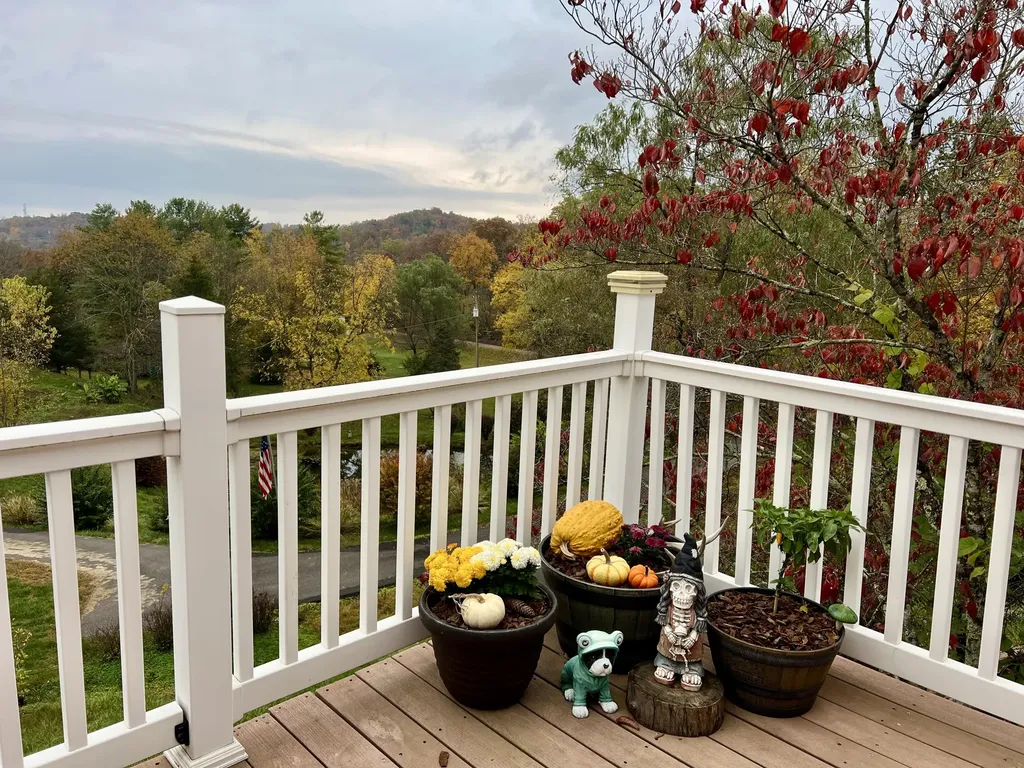 262 Mt. Pleasant Road Louisa KY 41230